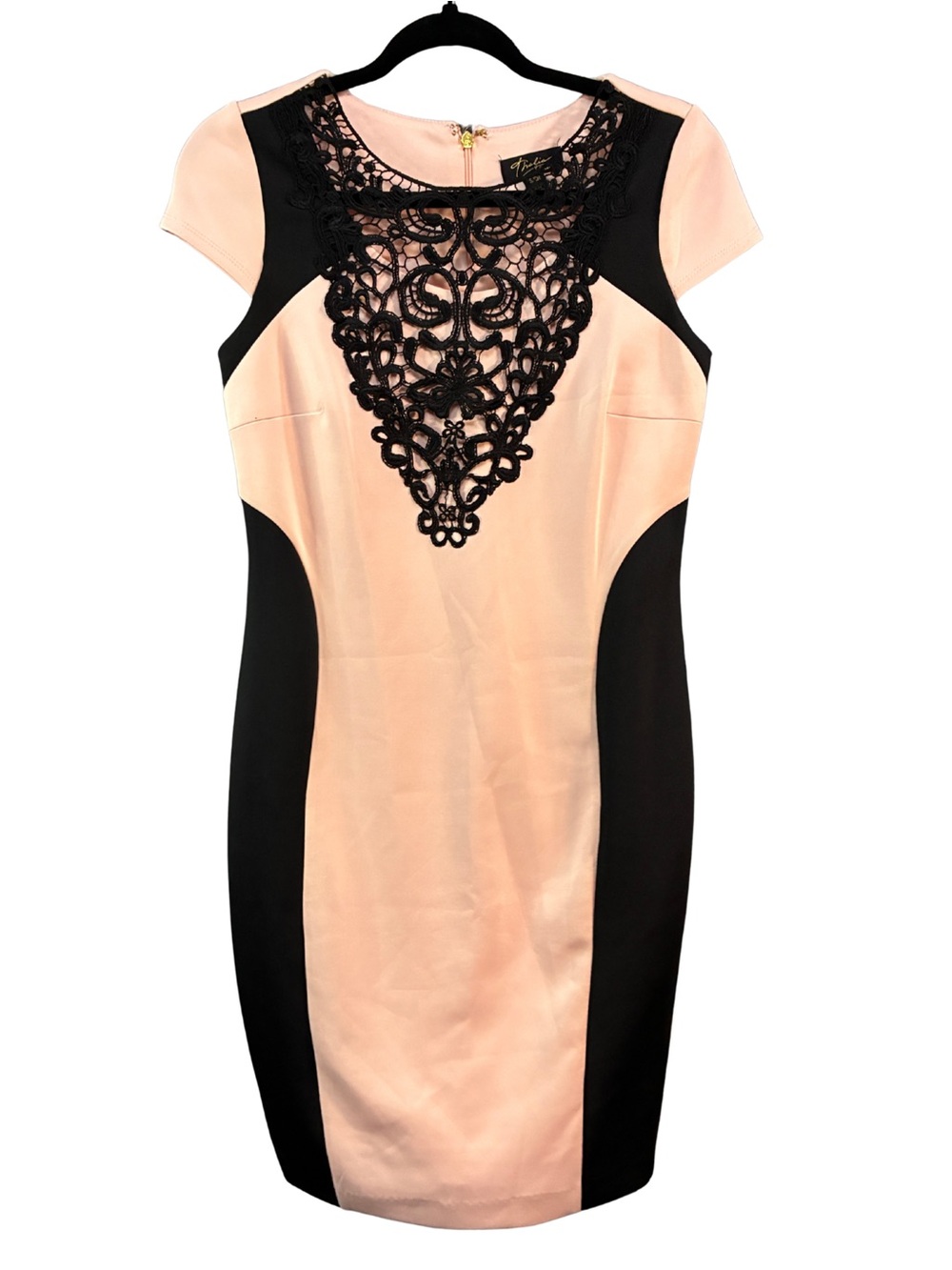 Thalia Sodi Blush and Black Lace-Front Sheath Dress